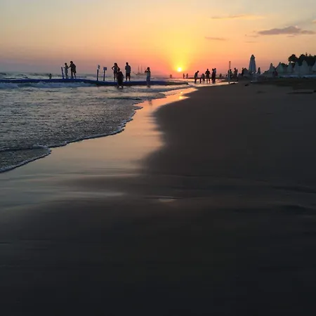 Side Apart Hotel 4* シダ